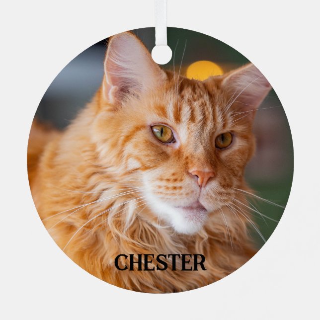 Fluffy Orange Tabby Maine Coon Cat Metal Ornament (Back)
