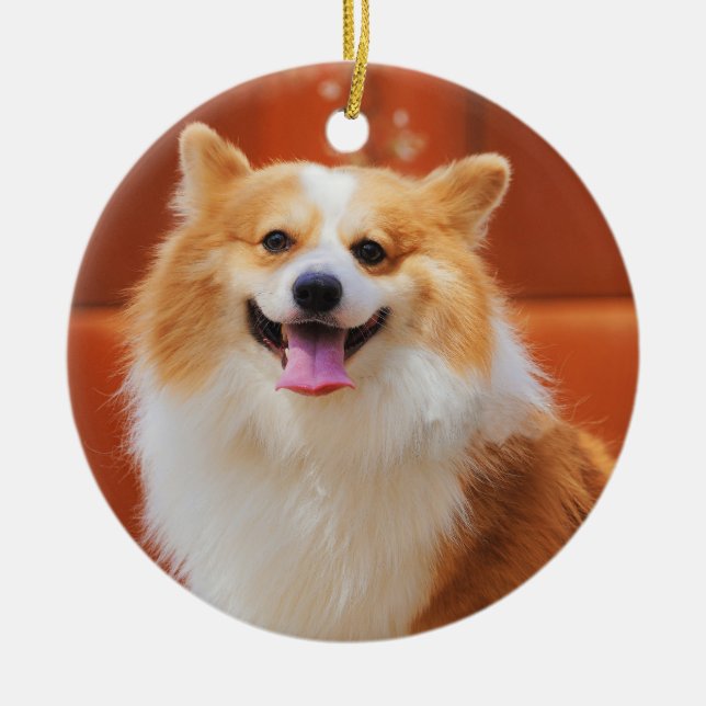 Fluffy Pembroke Welsh corgi Dog Ceramic Ornament (Front)
