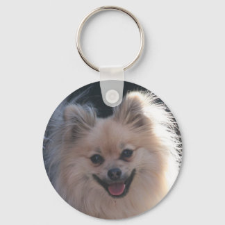 fluffy pomeranian dog keychain