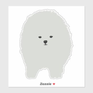 Fluffy Pomeranian Dog