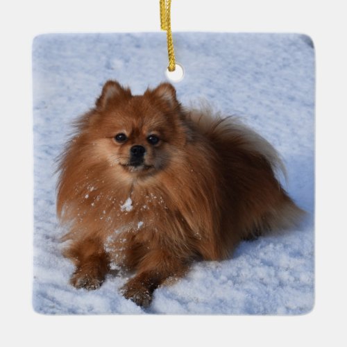 Fluffy Pomeranian Puppy Dog in the snow Ceramic Ornament
