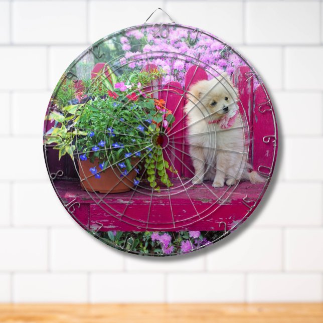 Fluffy Pomeranian Puppy on Rustic Garden Bench Dart Board (Please see collection for matching items)