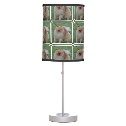Fluffy Pomeranian Table Lamp (Front)