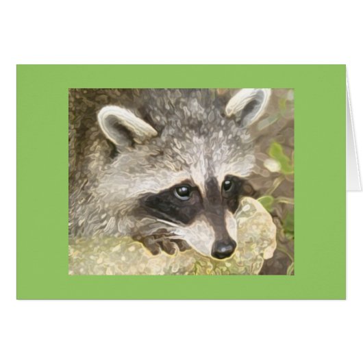 fluffy raccoon (Front Horizontal)