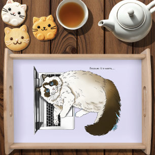 Fluffy Ragdoll Cat Lavender Laptop Funny Serving Tray