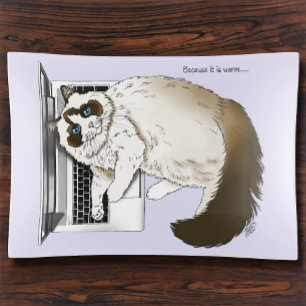 Fluffy Ragdoll Cat Lavender Laptop Funny Trinket Tray