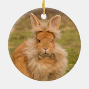 Fluffy Red Lionhead Bunny Rabbit Ceramic Ornament
