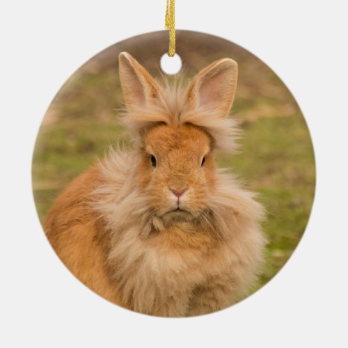Fluffy Red Lionhead Bunny Rabbit Ceramic Ornament