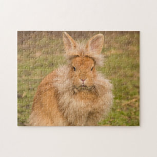 Fluffy Red Lionhead Bunny Rabbit Jigsaw Puzzle