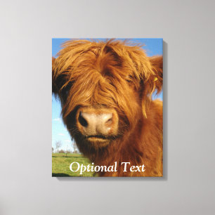 Fluffy Scottish Highland Cow - Blue Sky Canvas Print