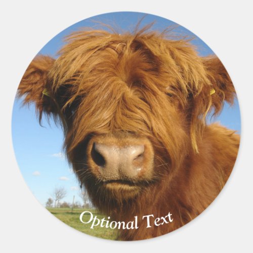 Fluffy Scottish Highland Cow _ Blue Sky Classic Round Sticker