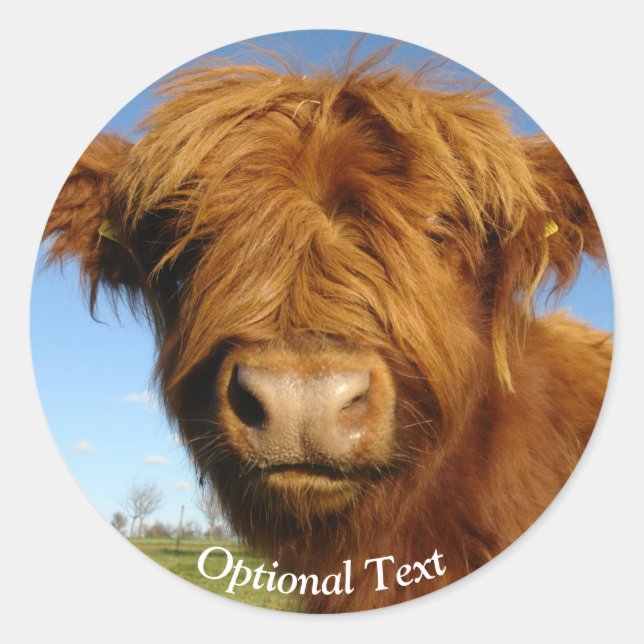 Fluffy Scottish Highland Cow - Blue Sky Classic Round Sticker (Front)