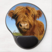 Fluffy Scottish Highland Cow - Blue Sky
