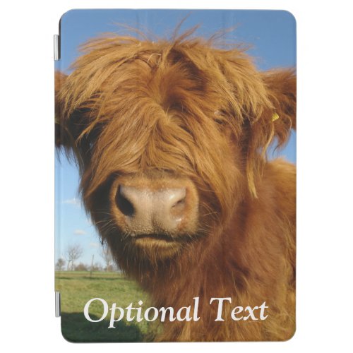 Fluffy Scottish Highland Cow _ Blue Sky iPad Air Cover