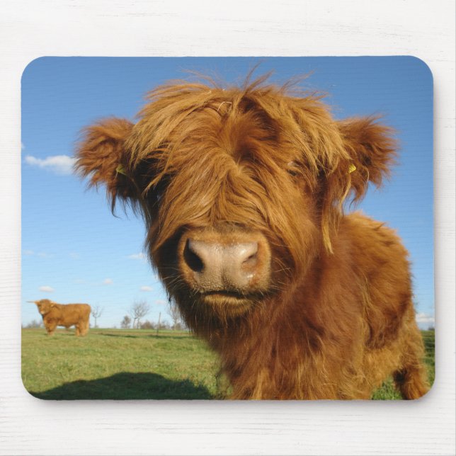 Fluffy Scottish Highland Cow - Blue Sky Mouse Pad (Front)