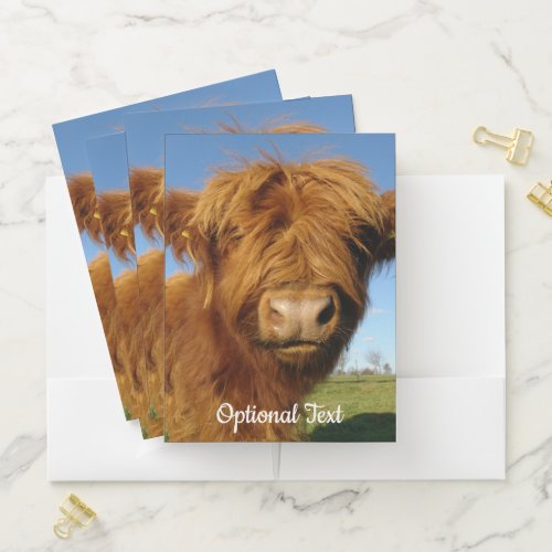 Fluffy Scottish Highland Cow _ Blue Sky Pocket Folder