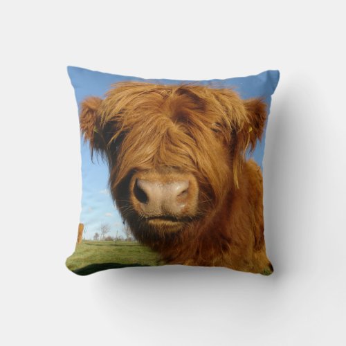 Fluffy Scottish Highland Cow _ Blue Sky Throw Pillow