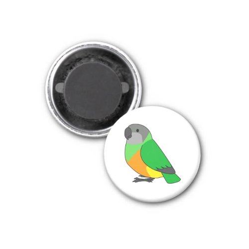 Fluffy senegal parrot cartoon drawing magnet