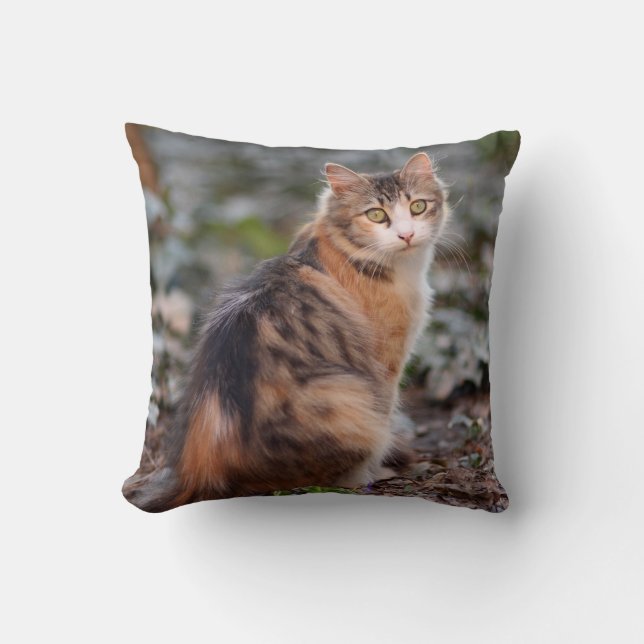 Fluffy Sweet Calico Tabby Cat Throw Pillow (Front)
