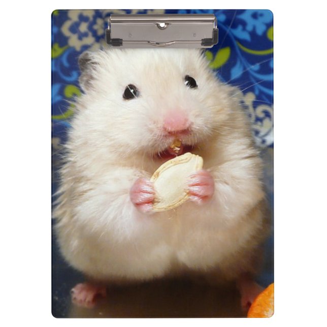 Fluffy Syrian Hamster Kokolinka Clipboard (Front)