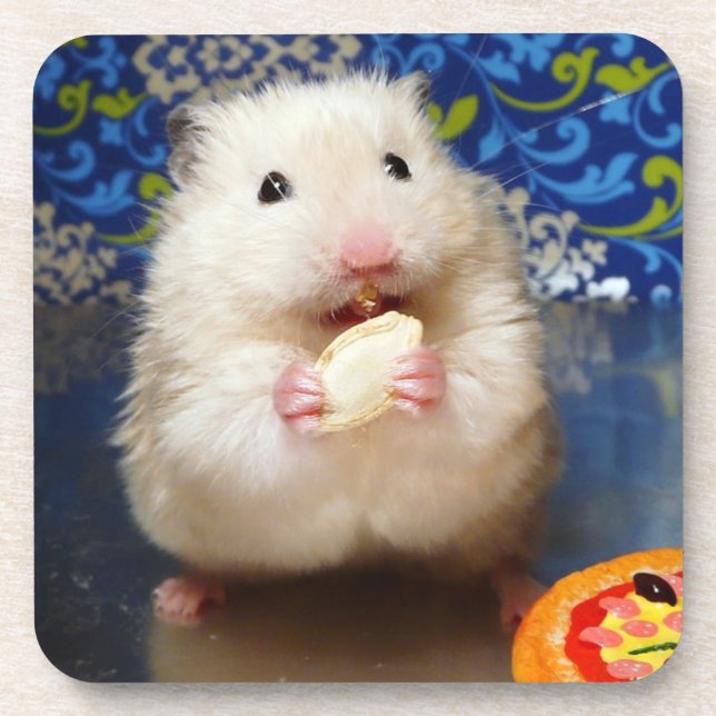Fluffy Syrian Hamster Kokolinka Drink Coaster (Front)
