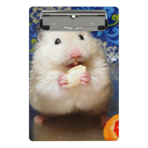 Fluffy Syrian Hamster Kokolinka Mini Clipboard