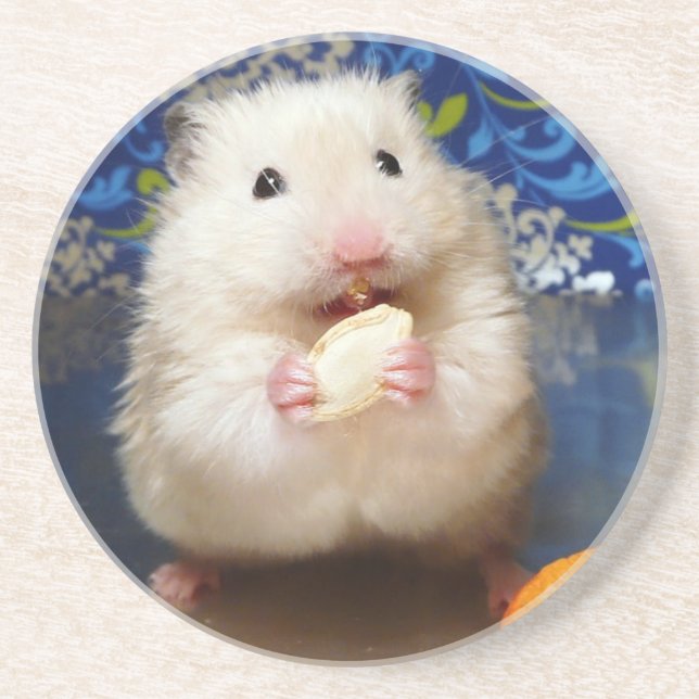 Fluffy Syrian Hamster Kokolinka Sandstone Coaster (Front)