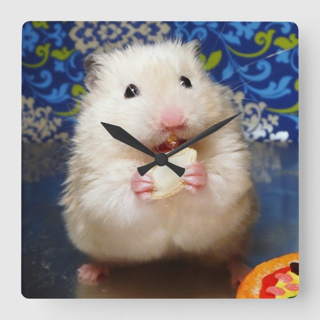 Fluffy Syrian Hamster Kokolinka Square Wall Clock (Front)