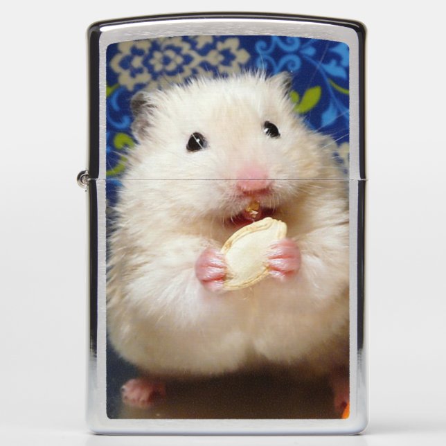 Fluffy Syrian Hamster Kokolinka Zippo Lighter (Front)