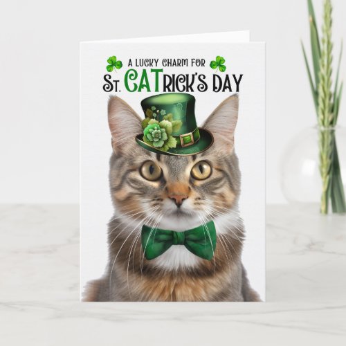 Fluffy Tabby Cat St CATricks Day Lucky Charm Holiday Card