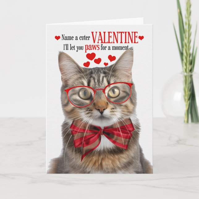 Fluffy Tabby Cat Valentine's Day Feline Humor Holiday Card (Front)