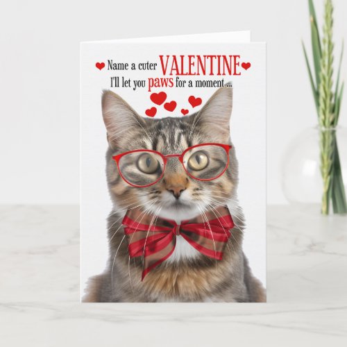 Fluffy Tabby Cat Valentines Day Feline Humor Holiday Card