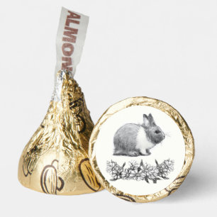 Fluffy the rabbit hershey®'s kisses®