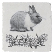 Fluffy the rabbit. Pencil drawing Monochrome Black