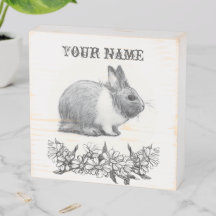 Fluffy the rabbit. Pencil drawing Monochrome Black