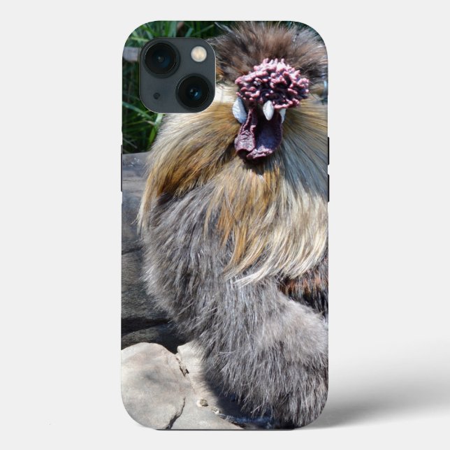 Fluffy Ugly Chicken, iPhone 13 Case (Back)