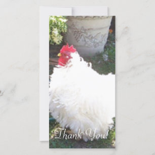 Fluffy White Chicken Thank You Card