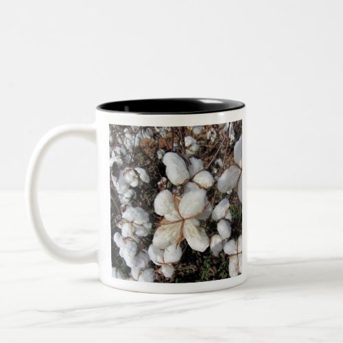 Fluffy White Cotton Bolls Two_Tone Coffee Mug