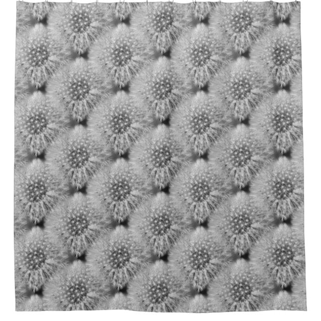 Fluffy White Dandelion Flowers Nature Pattern  Shower Curtain (Front)
