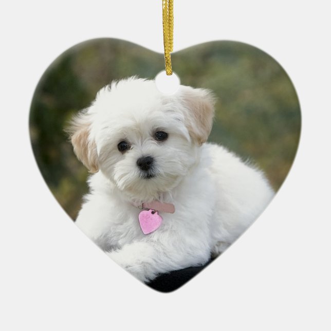 Fluffy White Dog Ceramic Ornament (Front)