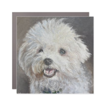 Fluffy White Dog Magnet