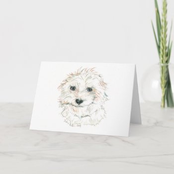 Fluffy White Dog Watercolor ©dianeheller2020 Card by logodiane at Zazzle