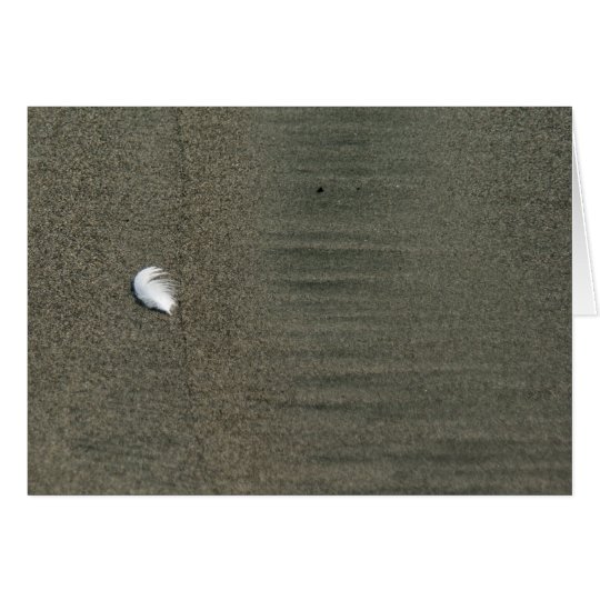 Fluffy white feather on beach Greeting Card