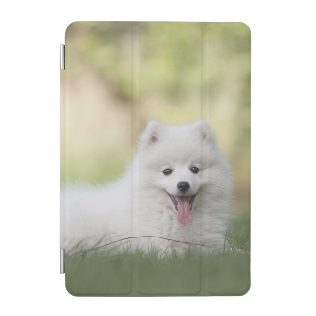 Fluffy White Keeshond Puppy iPad Mini Cover (Front)