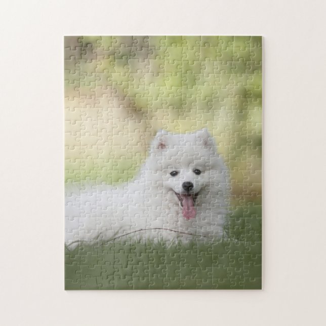 Fluffy White Keeshond Puppy Jigsaw Puzzle (Vertical)