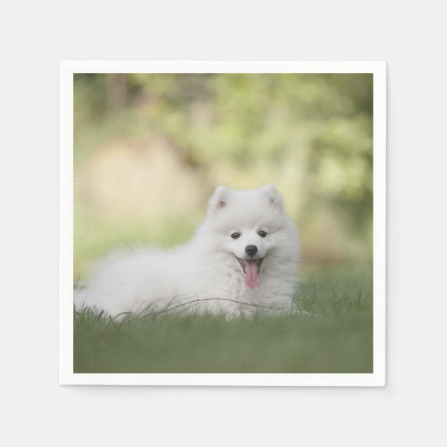 Fluffy White Keeshond Puppy Napkins (Front)