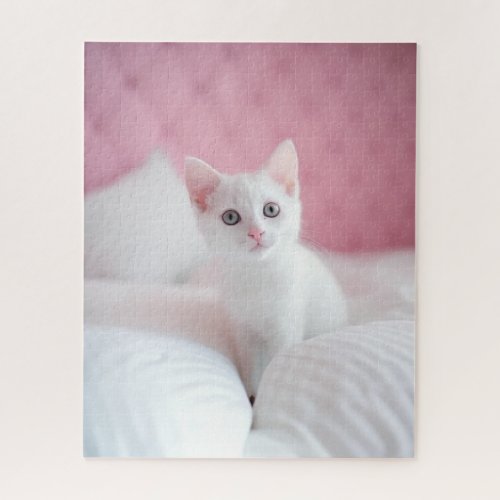 Fluffy White Kitten Companion Pink  Jigsaw Puzzle
