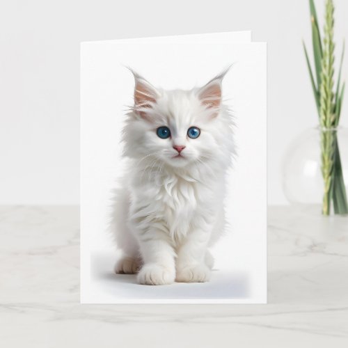 Fluffy White Long_Haired Cat Blue Eyes Blank Card