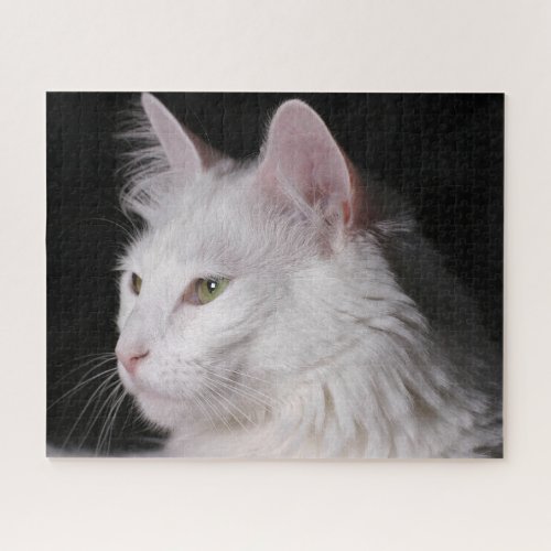 Fluffy White Maine Coon Cat Jigsaw Puzzle