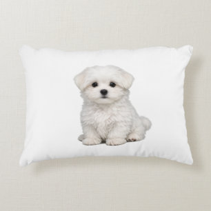 Fluffy White Maltese Puppy Portrait Cute Dog Lover Accent Pillow
